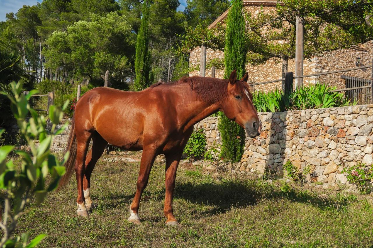 Masia Pou De La Vinya Sitges Zewnętrze zdjęcie